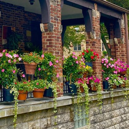 Railing Plant Hanger