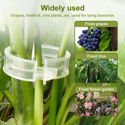 🌱 Reusable Plant Support Clips