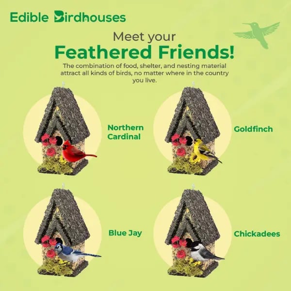 Edible Bird Feeder - Dark Roof Tall Birdhouse Handcrafted in USA Solid Wood Premium Birdseed Blend Attracts Songbirds Deters Squirrels with Chili Flakes